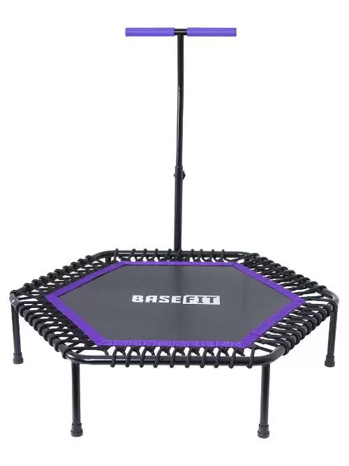 Батут Basefit TR-401 101 см с держателем фиолетовый от магазина Супер Спорт